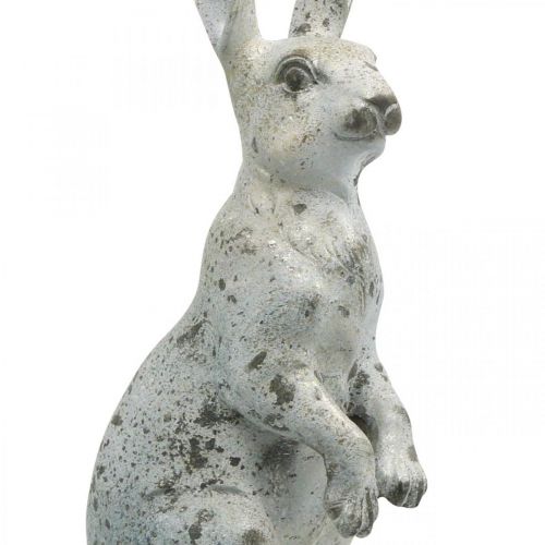 Floristik24 Coelho decorativo para a Páscoa, decoração de primavera em aparência de concreto, figura de jardim com detalhes em ouro, chique gasto H42cm