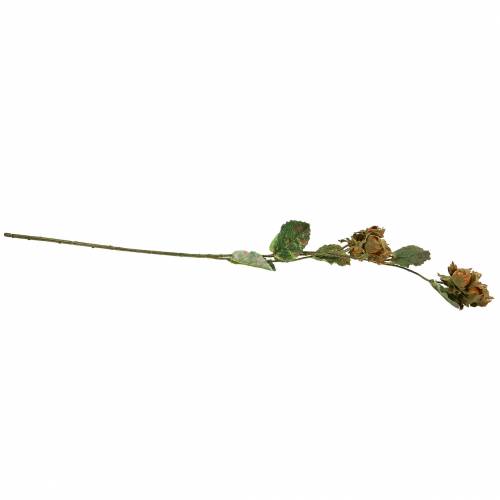 Floristik24 Ramo de avelã verde / marrom 84cm