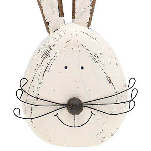 Floristik24 Hasenkopf Creme com 19 cm