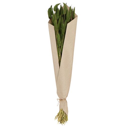 Itens Grama Rabo de Coelho Lagurus Verde Seco 50-60cm 50g