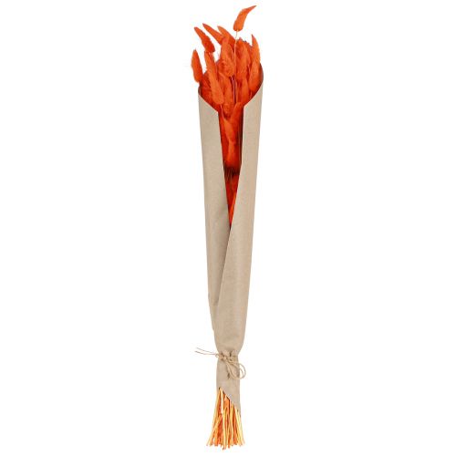 Itens Grama Rabo de Coelho Lagurus Laranja Seca 50-60cm 50g