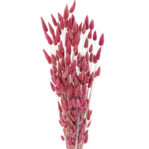 Itens Rabo de Coelho Grama Lagurus Seco Velho Rosa 60cm 50g