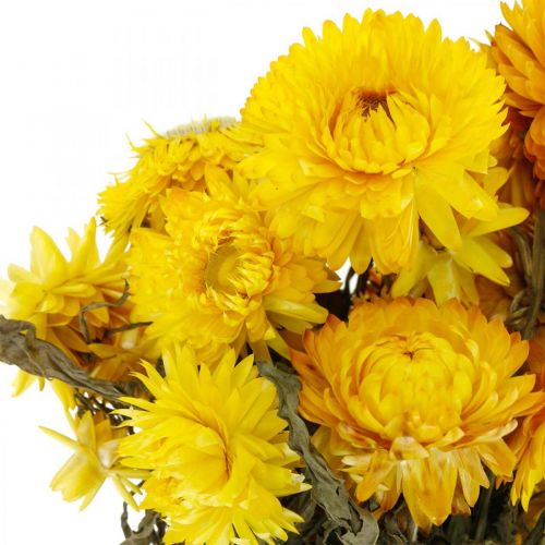 Itens Ramo decorativo de flores secas amarelas de morango 75g