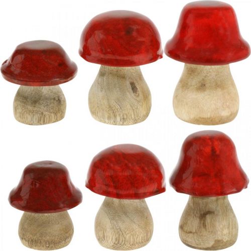 Floristik24 Cogumelos decorativos de outono feitos de madeira Cogumelos de madeira vermelha H5-7cm 6 peças