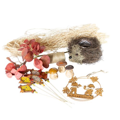 Floristik24 Conjunto de decoração de outono ouriço cogumelos dragão – compre caixa de decoração barata