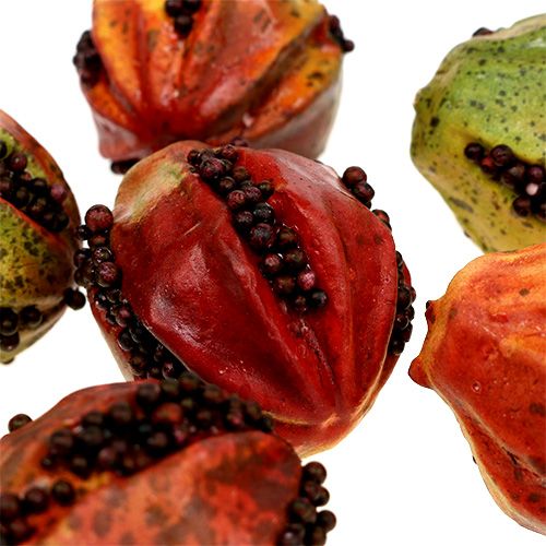 Floristik24 Frutas de outono 3,5 cm vermelhas, marrons 24 unidades