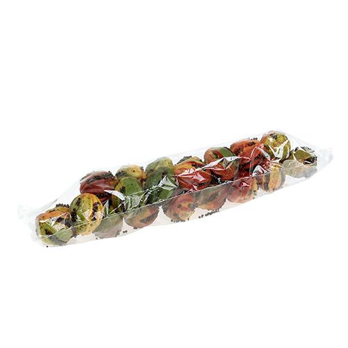 Floristik24 Frutas de outono 3,5 cm vermelhas, marrons 24 unidades