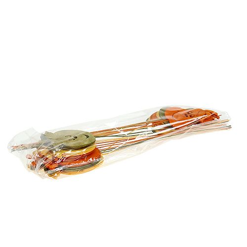 Floristik24 Maçã plug outono, variedade mista de pêra. L33cm 12pcs