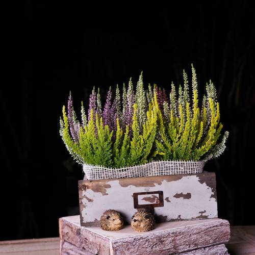 Floristik24 Plantador de gaveta de madeira cinza antigo 27cm x 13cm