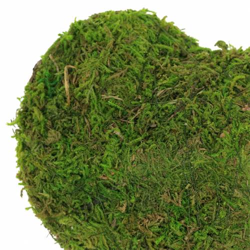 Floristik24 Coração de musgo verde 20cm 3pçs