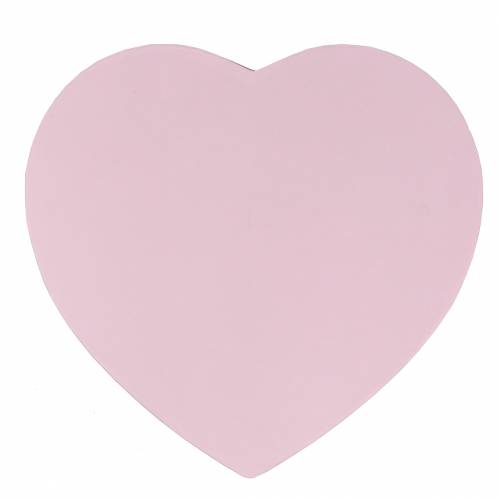 Floristik24 Caixa de flores coração rosa Ø18/20cm conjunto de 2