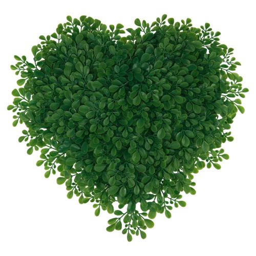 Floristik24 Tapete decorativo artificial de buxo coração decorativo verde 30,5 cm