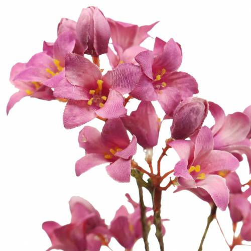 Floristik24 Roxo Sinos Heuchera Deco Ramo Rosa 44cm
