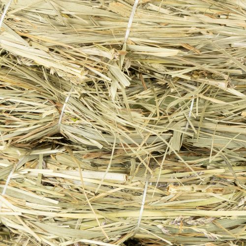 Itens Coroas de palha para decoração natural, conjunto de 5 peças, 21-22 cm, faça você mesmo.