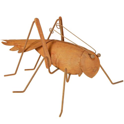 Floristik24 Decoração de jardim de gafanhoto Decoração de metal enferrujado para ficar de pé 26 cm