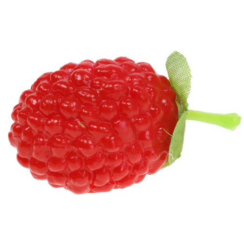 Floristik24 Framboesa 4cm x 2cm 36p