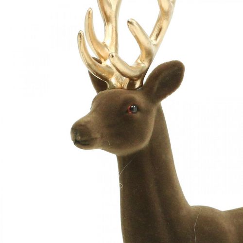 Floristik24 Figura de decoração de veado deco rena deco flocada marrom H37cm