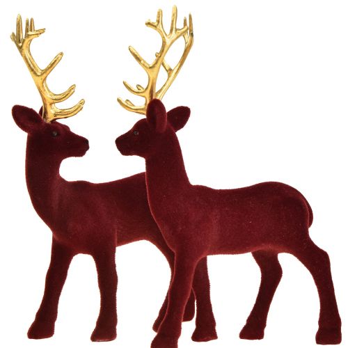 Floristik24 Deer Deco Reindeer Bordeaux Gold Calf Flocado 20 cm Conjunto de 2