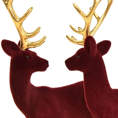 Floristik24 Deer Deco Reindeer Bordeaux Gold Calf Flocado 20 cm Conjunto de 2