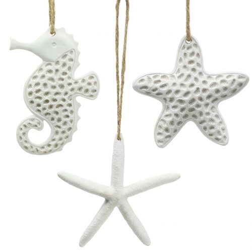 Floristik24 Deco hanger starfish, seahorse 12cm 3pcs
