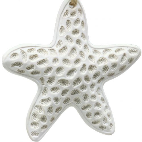 Floristik24 Deco hanger starfish, seahorse 12cm 3pcs