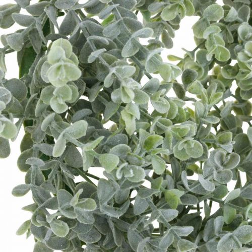 Floristik24 Guirlanda de eucalipto para decoração de casamento artificial Ø25cm