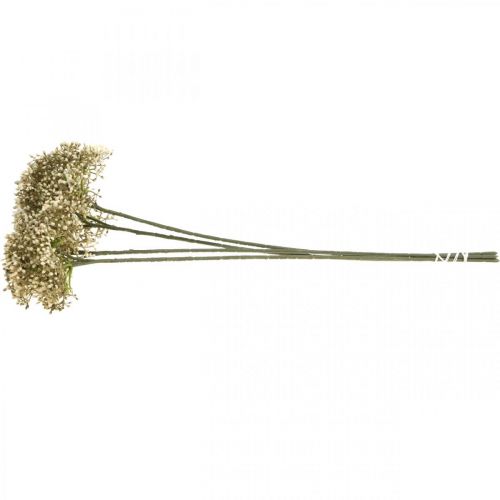 Floristik24 Ramo de flor decorativo branco creme de sabugueiro artificial 52 cm 4 peças