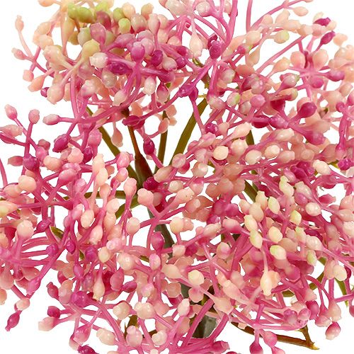 Itens Ramo de flor de sabugueiro rosa-branco L 55 cm 4 unidades