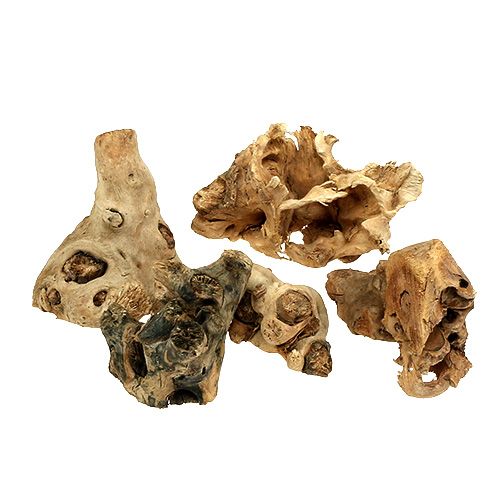 Raizes de madeira naturais 8cm - 10cm 500g