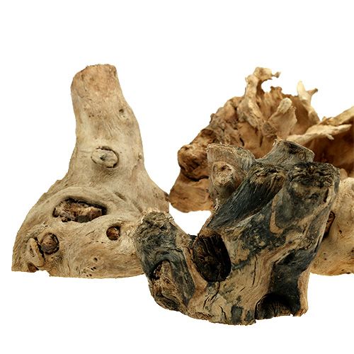 Floristik24 Raizes de madeira naturais 8cm - 10cm 500g