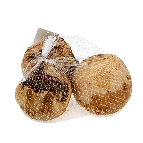 Floristik24 Bola de madeira de abeto natural Ø9cm 3 un.
