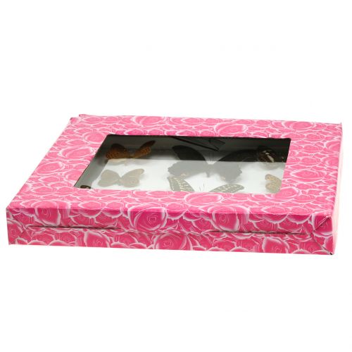 Floristik24 Vitrine de borboleta de 28 cm x 25 cm