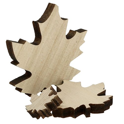 Floristik24 Folhas de madeira, folhas de bordo misturam 2,5cm - 7cm 36pcs