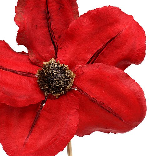 Itens Flor de madeira em forma de plug vermelho Ø9cm - 12cm C45cm 15 un