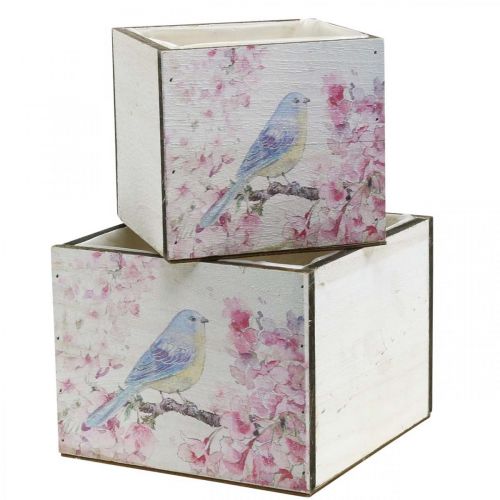 Floristik24 Caixas de plantas com estampa de pássaros, floreira, mola, caixa decorativa para plantar look vintage L17/15cm A13/11cm conjunto de 2