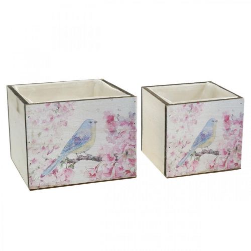 Floristik24 Caixas de plantas com estampa de pássaros, floreira, mola, caixa decorativa para plantar look vintage L17/15cm A13/11cm conjunto de 2
