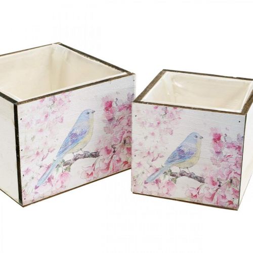 Floristik24 Caixas de plantas com estampa de pássaros, floreira, mola, caixa decorativa para plantar look vintage L17/15cm A13/11cm conjunto de 2
