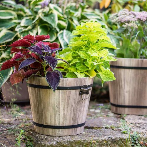 Floristik24 Plantador de balde de madeira estilo casa de campo com alças Ø30cm