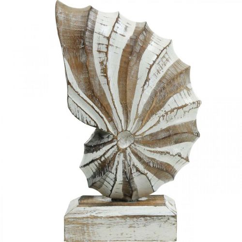 Floristik24 Suporte de concha de madeira deco marítimo natureza, branco H28cm