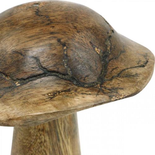 Floristik24 Cogumelo de madeira com padrão deco cogumelo natural, madeira dourada deco Ø10cm H13cm