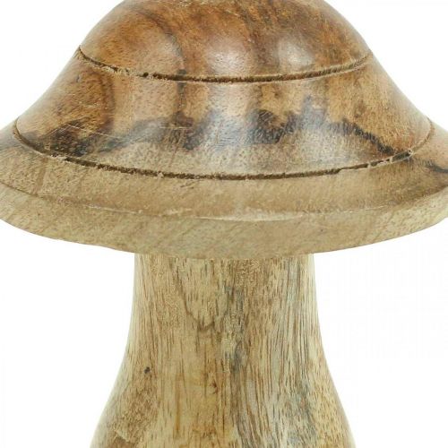 Itens Cogumelo de madeira com ranhuras Cogumelo deco de outono madeira de mangueira natural 10ר8cm