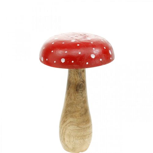 Floristik24 Cogumelo deco de madeira agaric outono Ø12cm H19cm