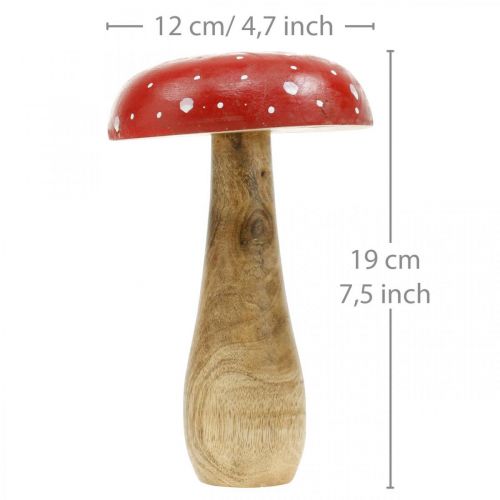 Floristik24 Cogumelo deco de madeira agaric outono Ø12cm H19cm