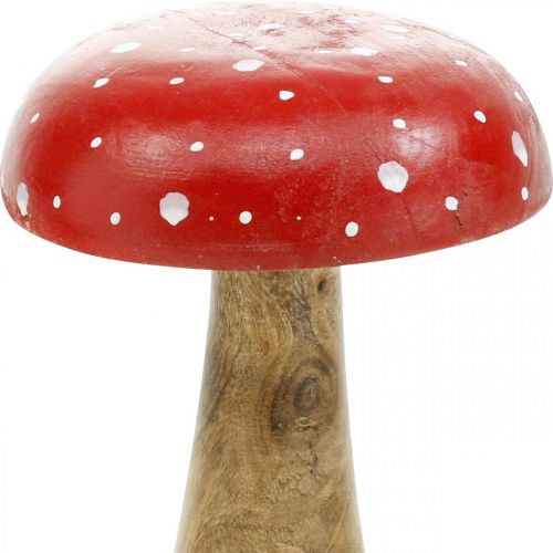 Floristik24 Cogumelo deco de madeira agaric outono Ø12cm H19cm