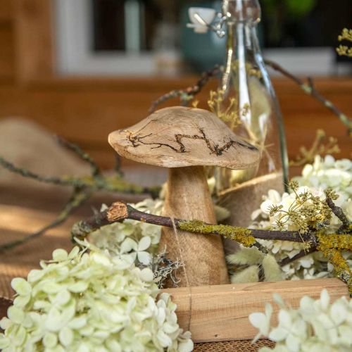 Floristik24 Cogumelo de madeira com decoração de madeira padrão cogumelo natural, dourado Ø12.5cm H15cm