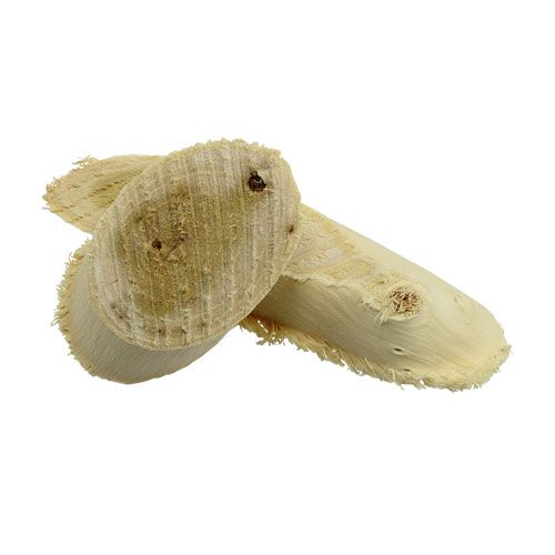 Floristik24 Fatias de madeira de amora branqueada 500g