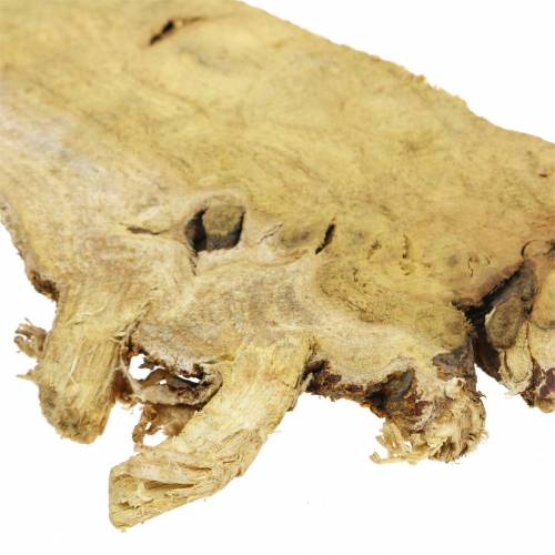 Floristik24 Discos de madeira Deco natureza 1kg