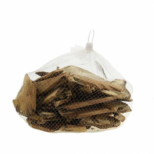 Floristik24 Discos de madeira Deco natureza 1kg