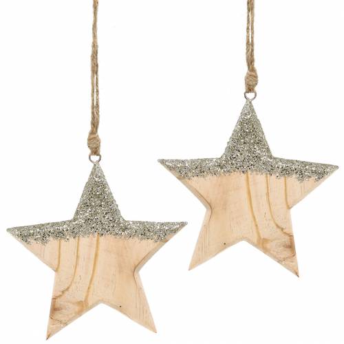 Floristik24 Cabide decorativo de madeira estrela mica 14,5 cm 2 unidades