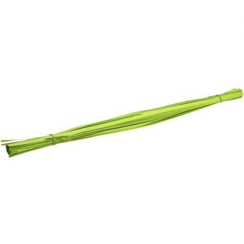 Floristik24 Tiras de madeira verde primavera 95cm - 100cm 50 un